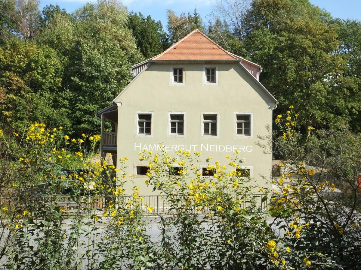 “Maegdestube” - Hammergut Neidberg Rosenthal-Bielatal Exteriér fotografie